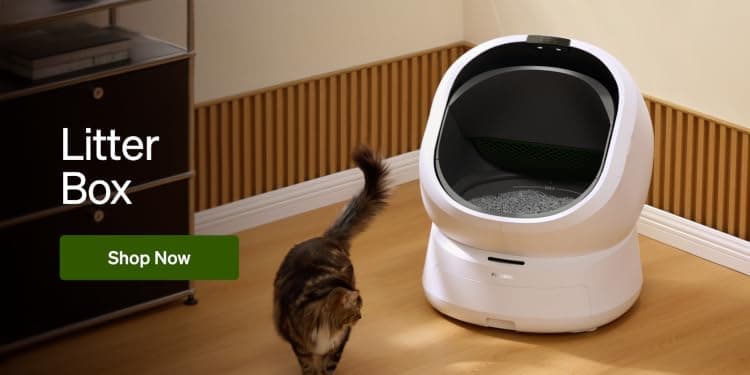 Litter Box