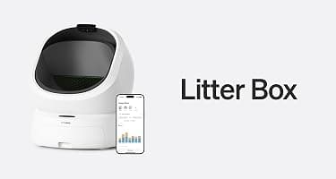 Litter Box